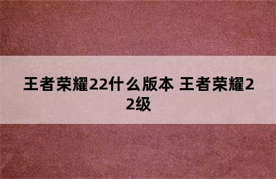 王者荣耀22什么版本 王者荣耀22级